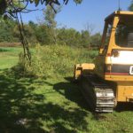 Clearing and Removing Stumps In Graveyard