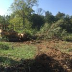 Clearing Brookville, Indiana